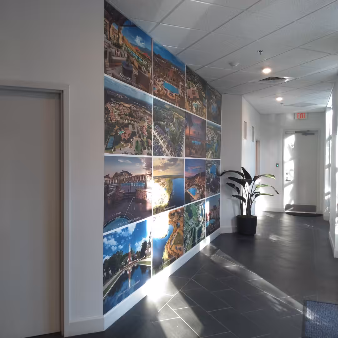 A hallway with a wall displaying a collage of aerial city and landscape photos, complemented by indoor business signs, a potted plant nearby, and sunlight streaming through windows onto the floor.